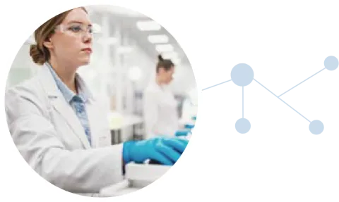 lab
